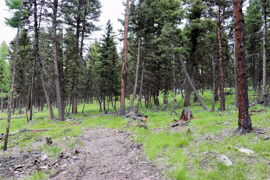 1016 Grandview Drive Seeley Lake MT 59868