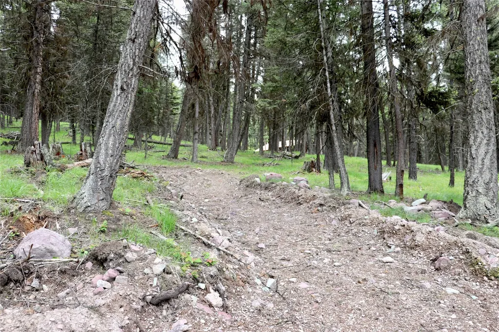 1016 Grandview Drive Seeley Lake MT 59868