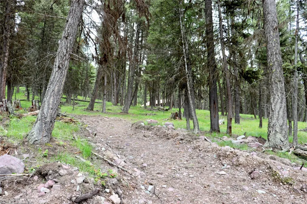 1016 Grandview Drive Seeley Lake MT 59868