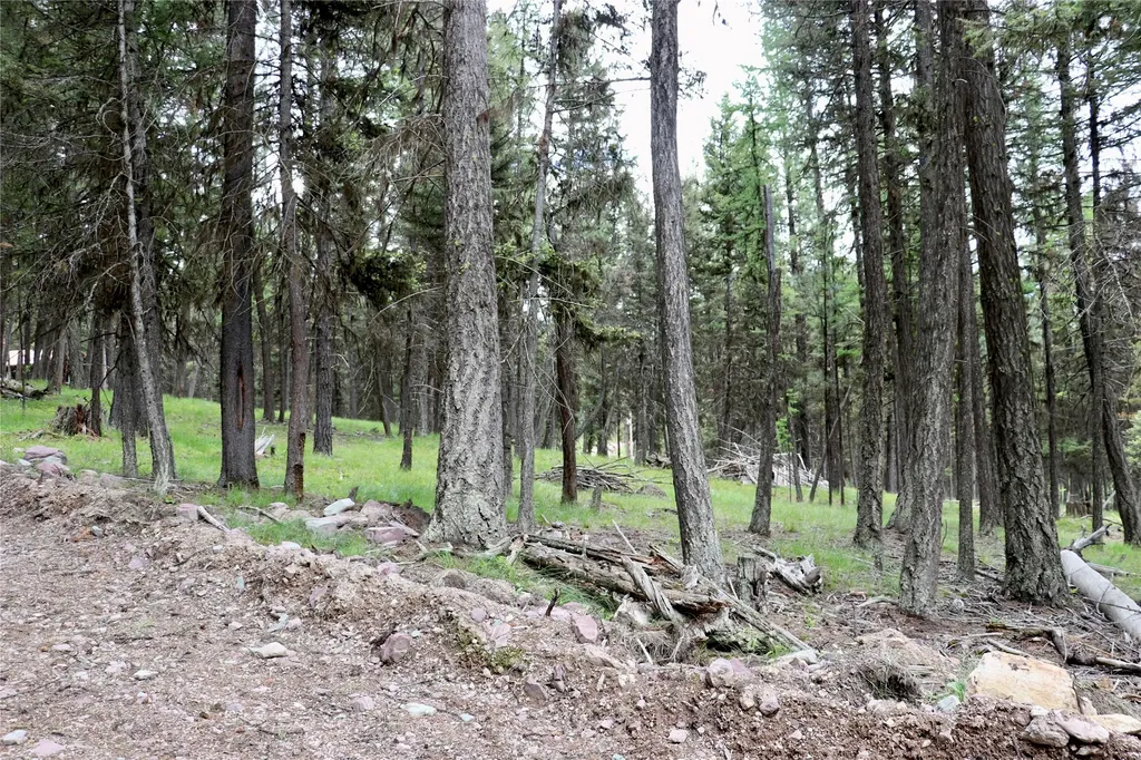 1016 Grandview Drive Seeley Lake MT 59868