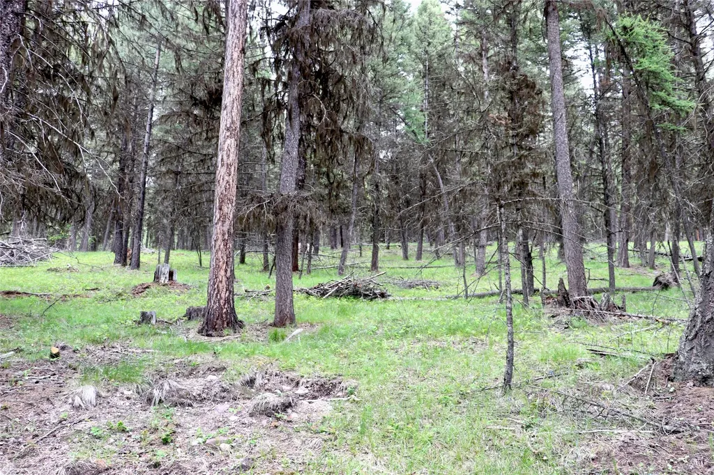 1016 Grandview Drive Seeley Lake MT 59868
