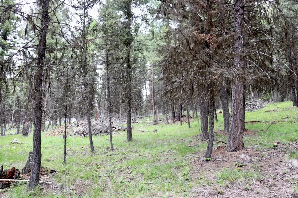 1016 Grandview Drive Seeley Lake MT 59868