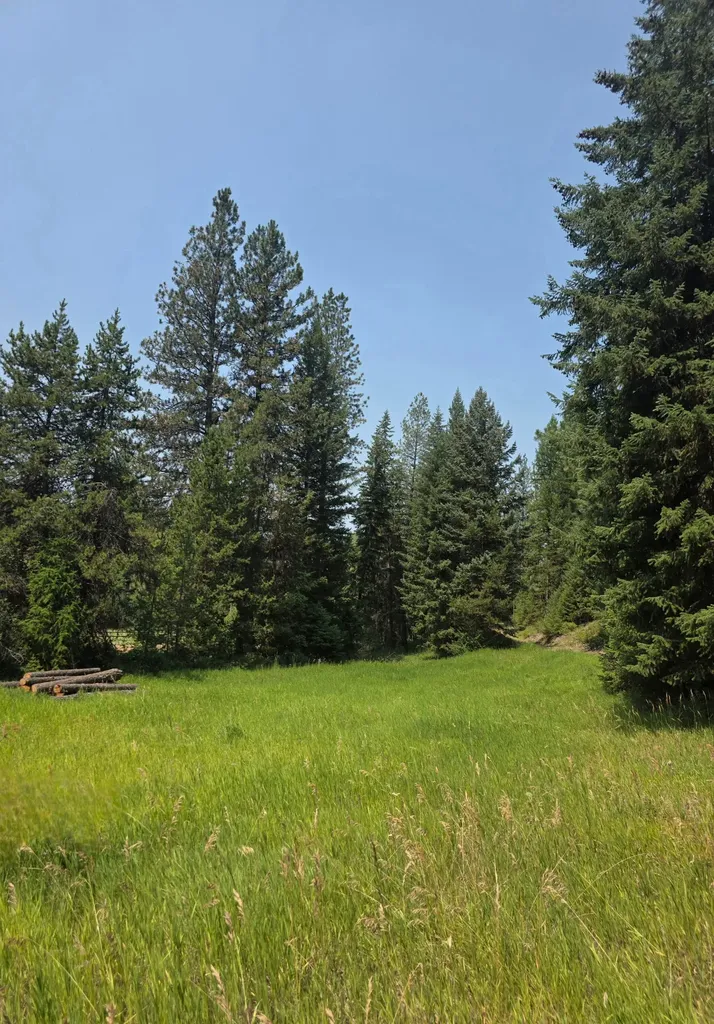 26900 Nine Mile Road Huson MT 59846