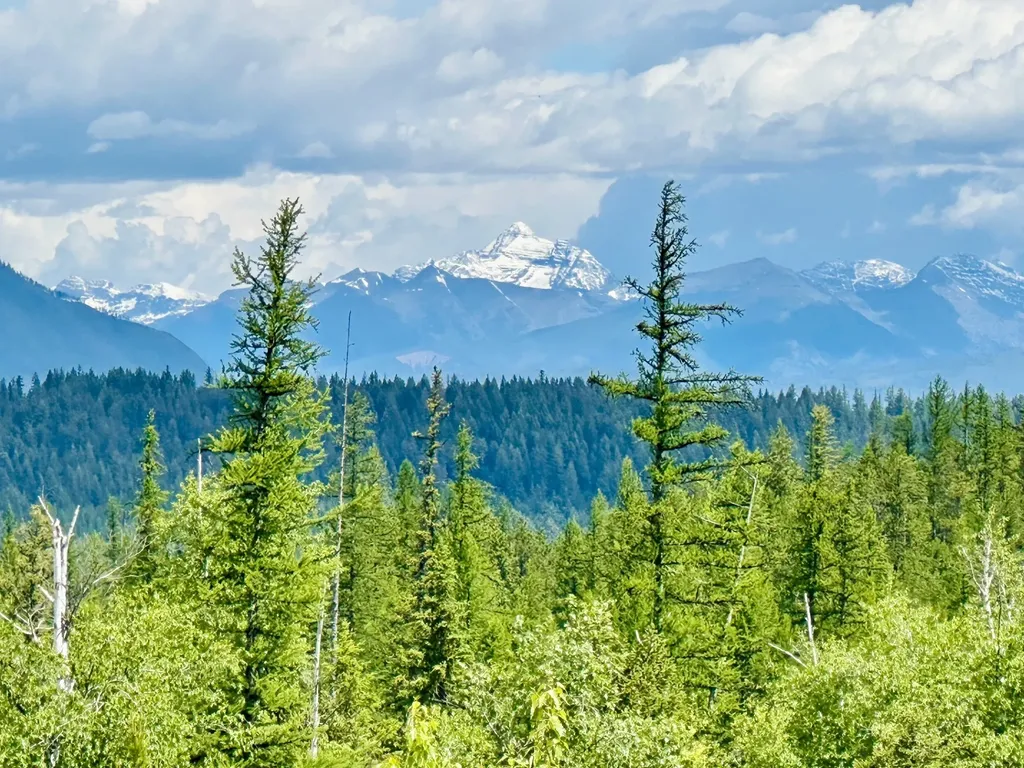 Nhn Glacier Hills Drive W Martin City MT 59926