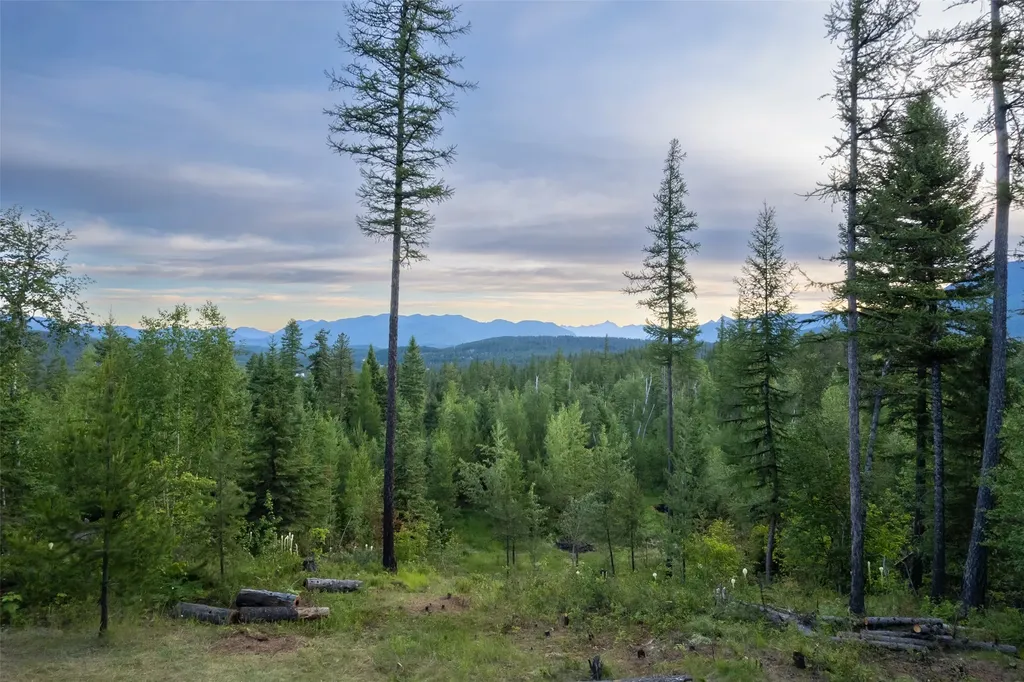Nhn Glacier Hills Drive W Martin City MT 59926