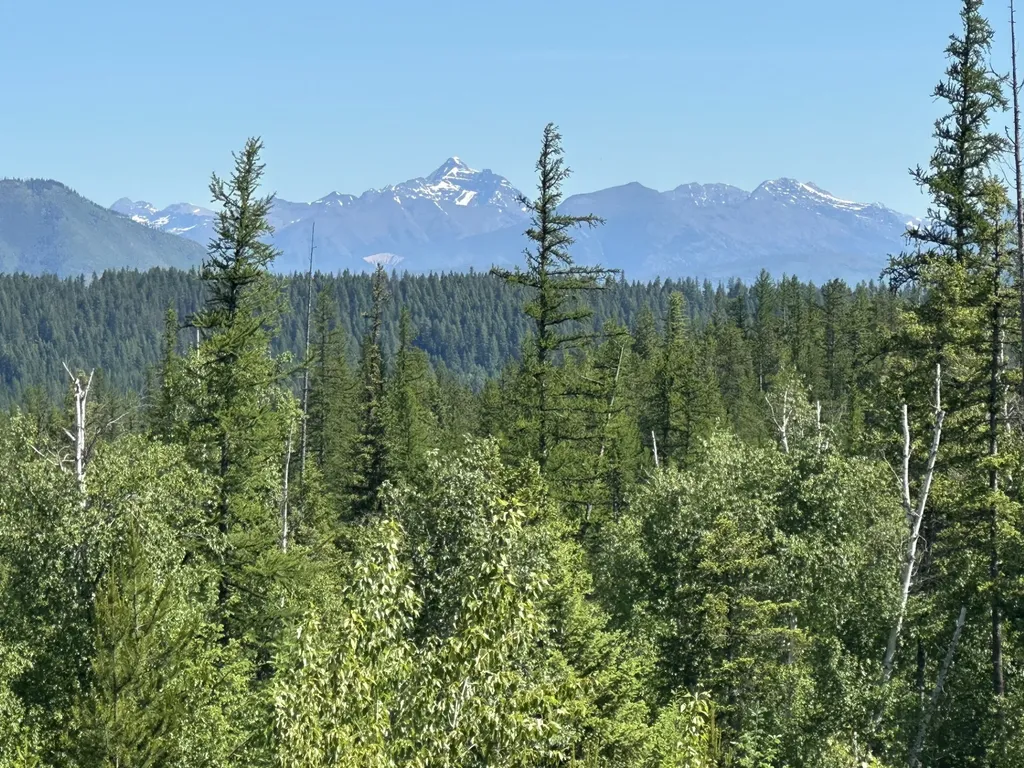 Nhn Glacier Hills Drive W Martin City MT 59926