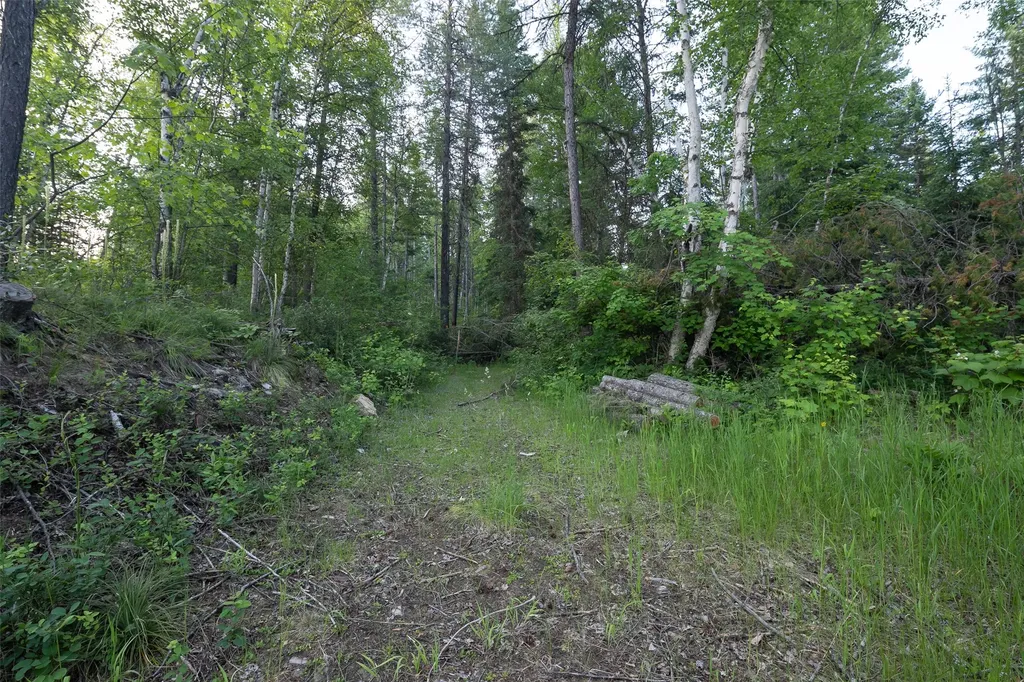 Nhn Glacier Hills Drive W Martin City MT 59926
