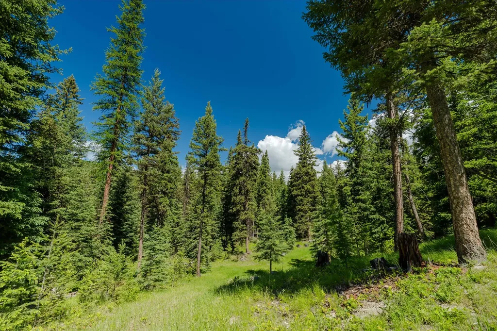 100 Seely Lane Kila MT 59920