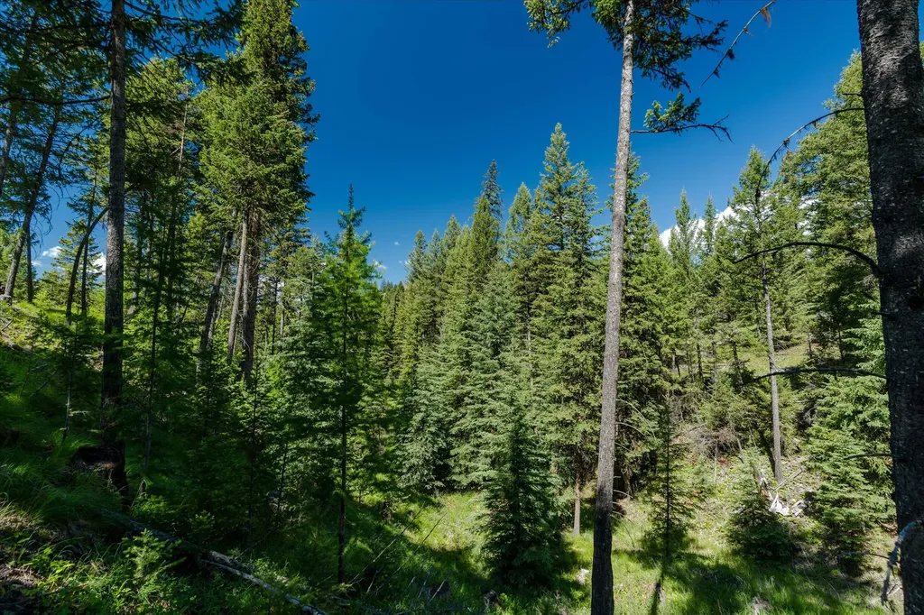 100 Seely Lane Kila MT 59920