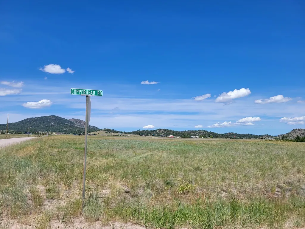 680 Copperhead Road Helena MT 59602