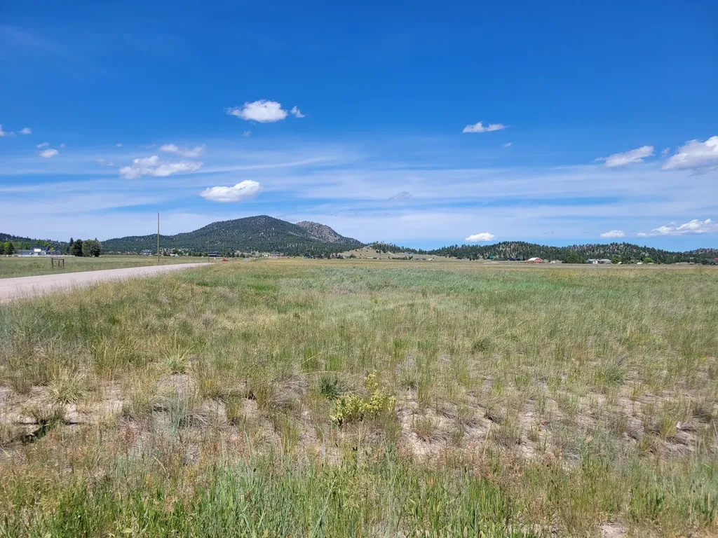 680 Copperhead Road Helena MT 59602
