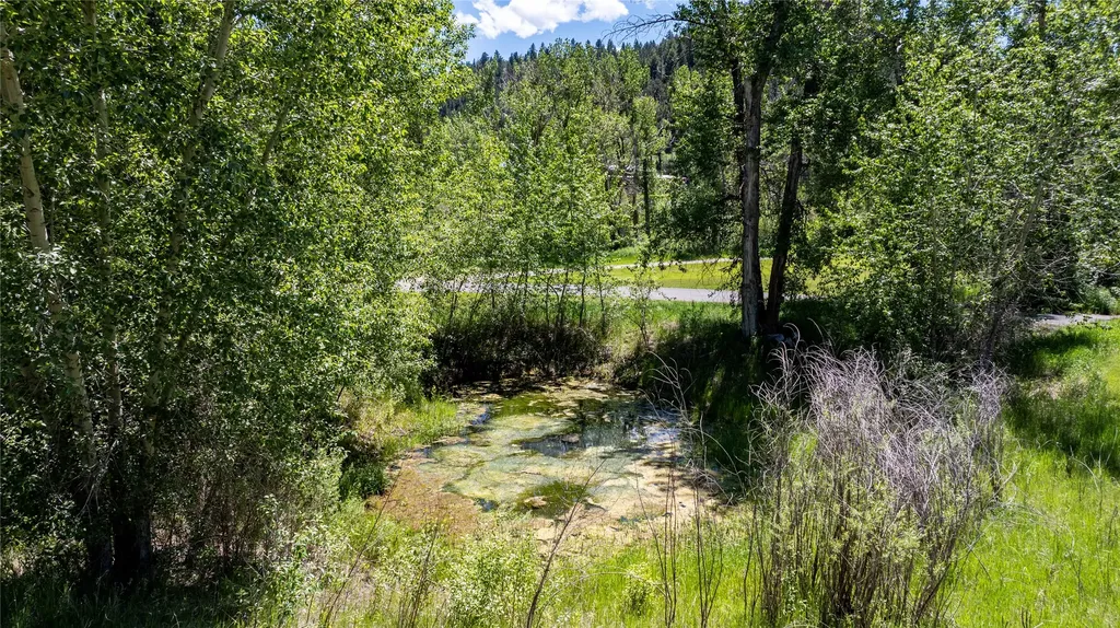 5260 Stone Bridge Court Helena MT 59601