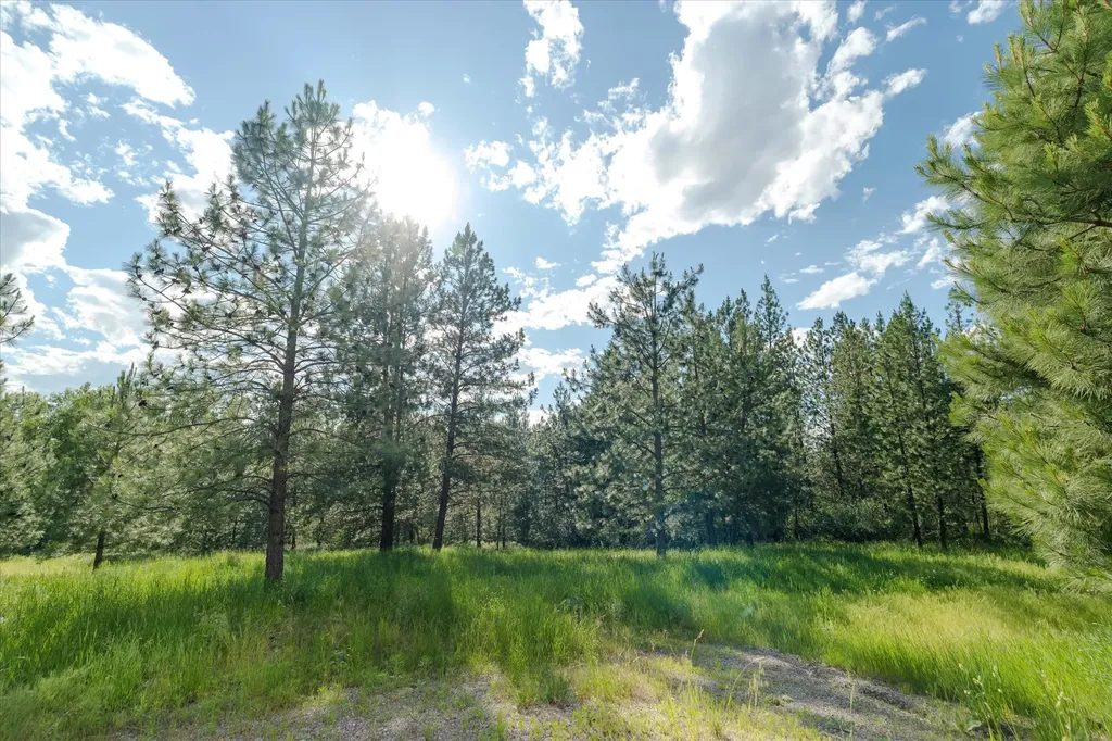 42439 Canal Road Ronan MT 59864