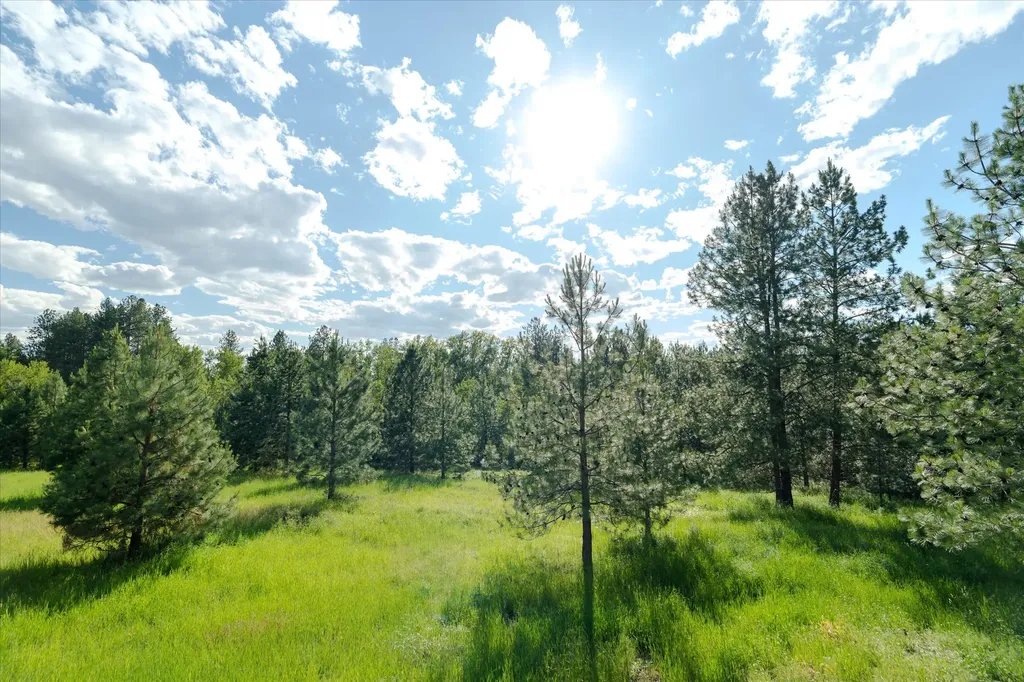 42439 Canal Road Ronan MT 59864