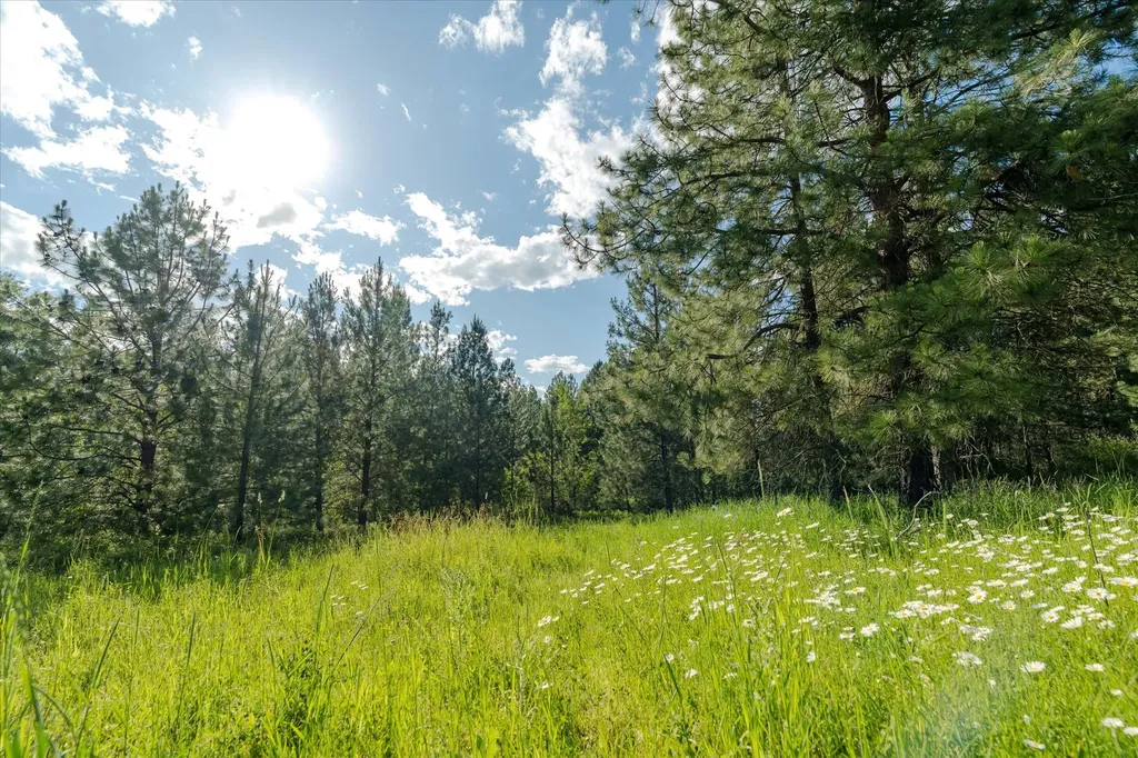 42439 Canal Road Ronan MT 59864