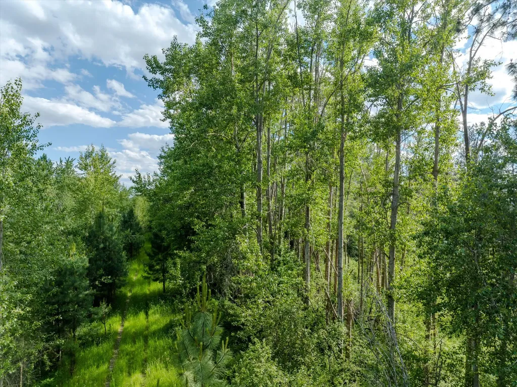 42439 Canal Road Ronan MT 59864