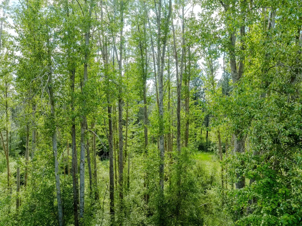 42439 Canal Road Ronan MT 59864