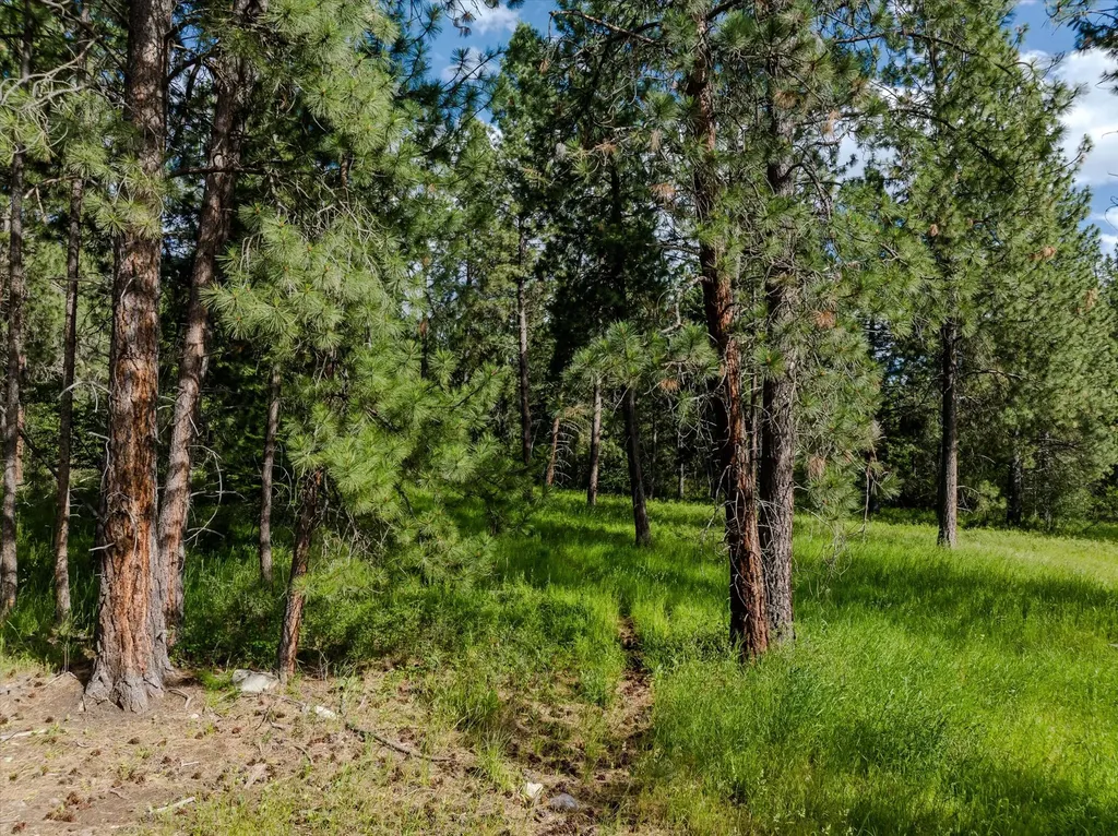 42439 Canal Road Ronan MT 59864