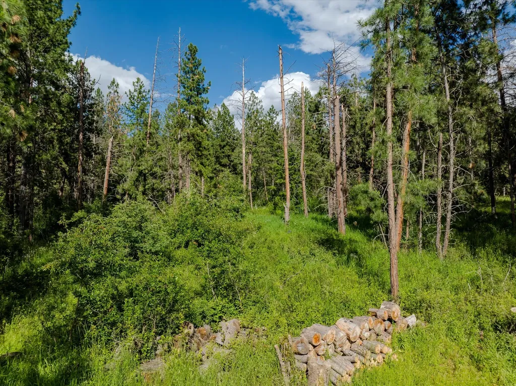 42439 Canal Road Ronan MT 59864