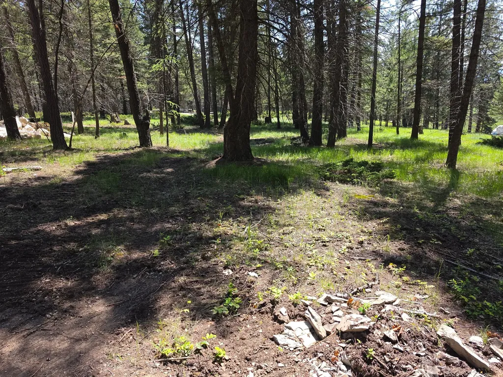 568 Bald Rock Road Kalispell MT 59901