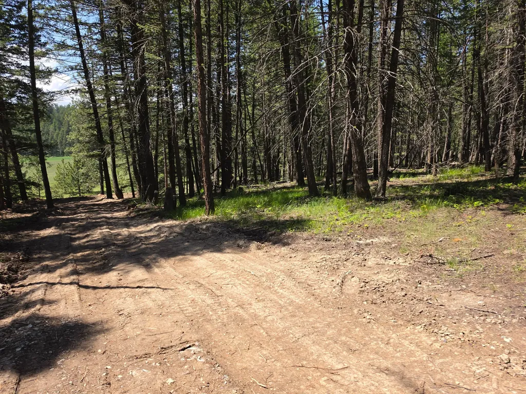 568 Bald Rock Road Kalispell MT 59901
