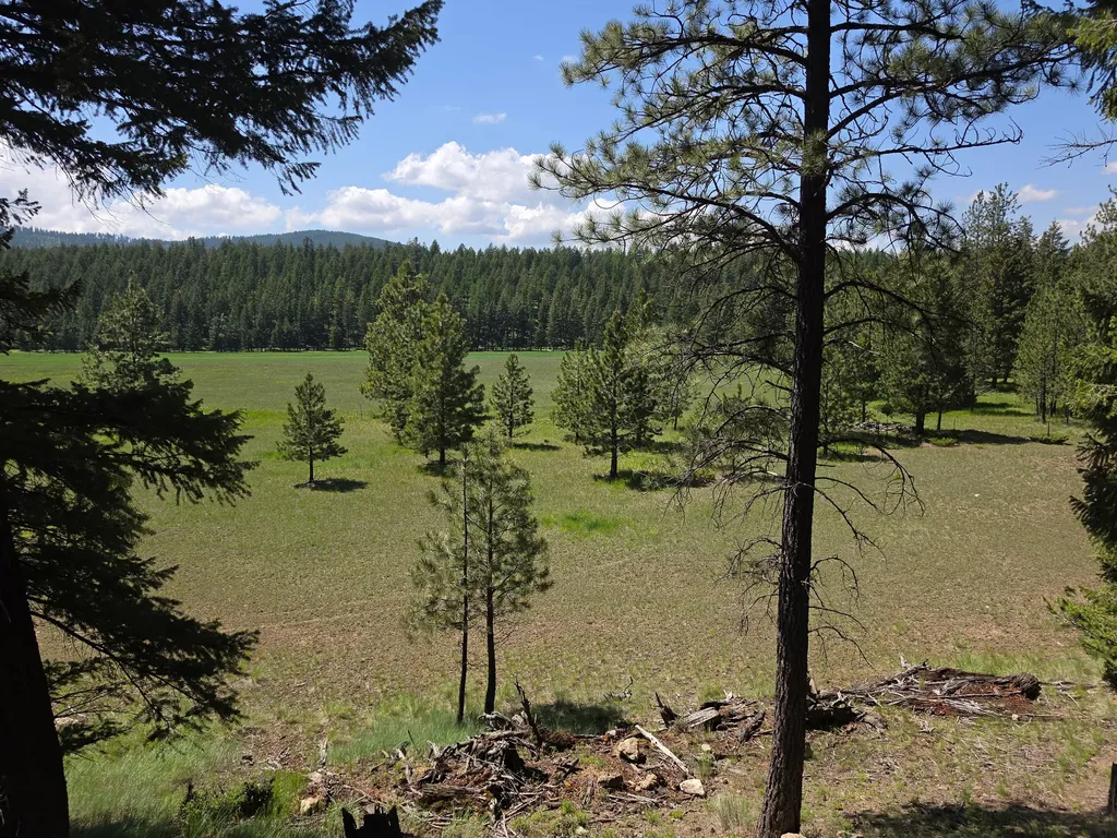 568 Bald Rock Road Kalispell MT 59901