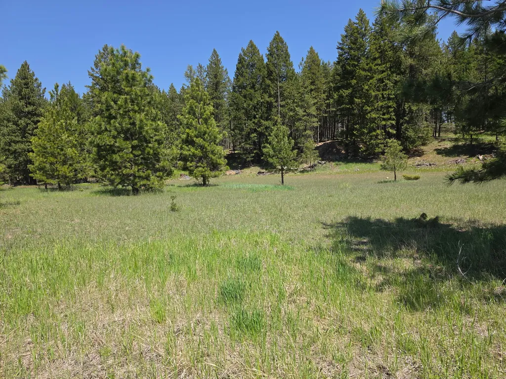 568 Bald Rock Road Kalispell MT 59901
