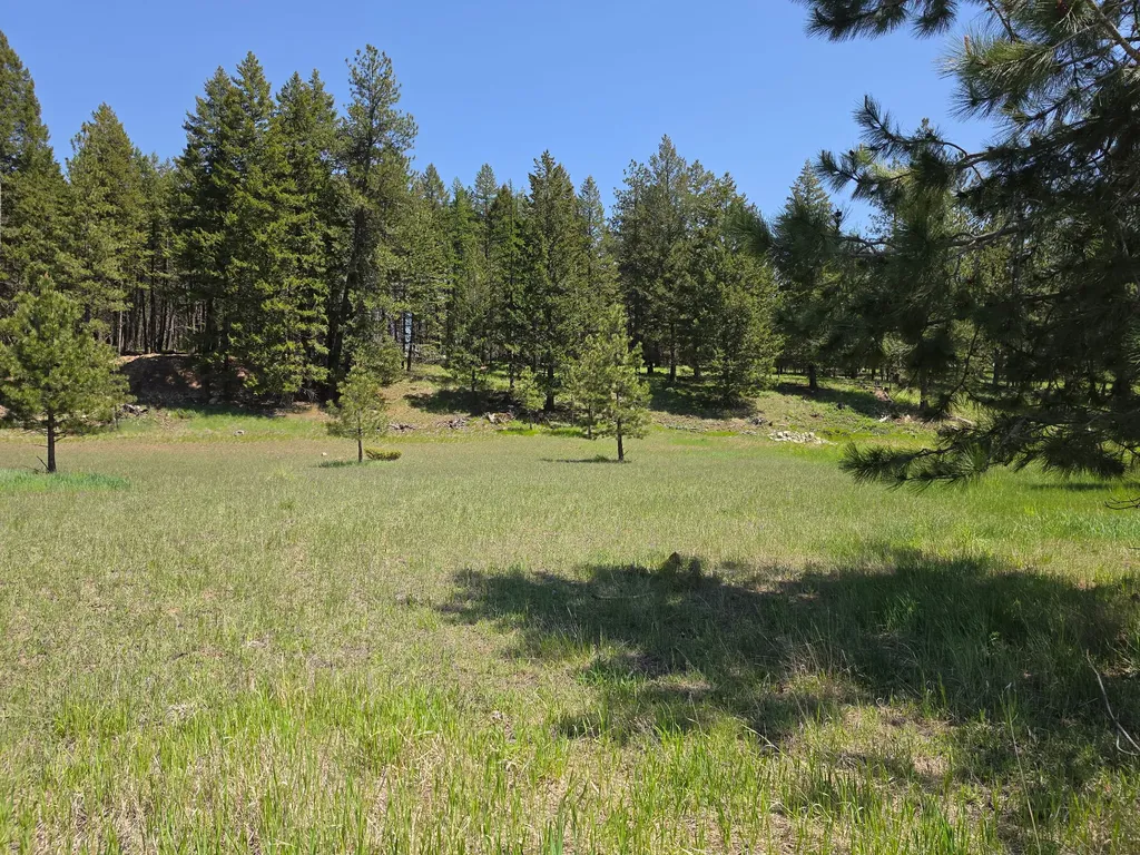 568 Bald Rock Road Kalispell MT 59901