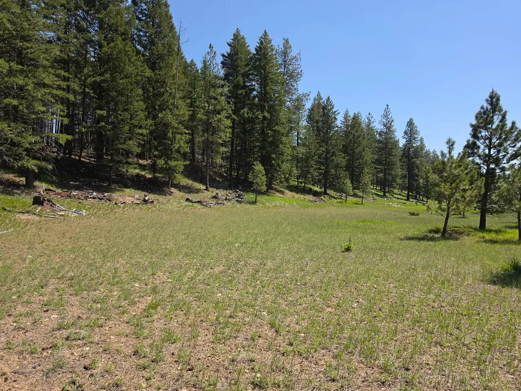 568 Bald Rock Road Kalispell MT 59901