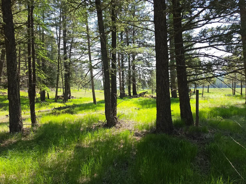 568 Bald Rock Road Kalispell MT 59901