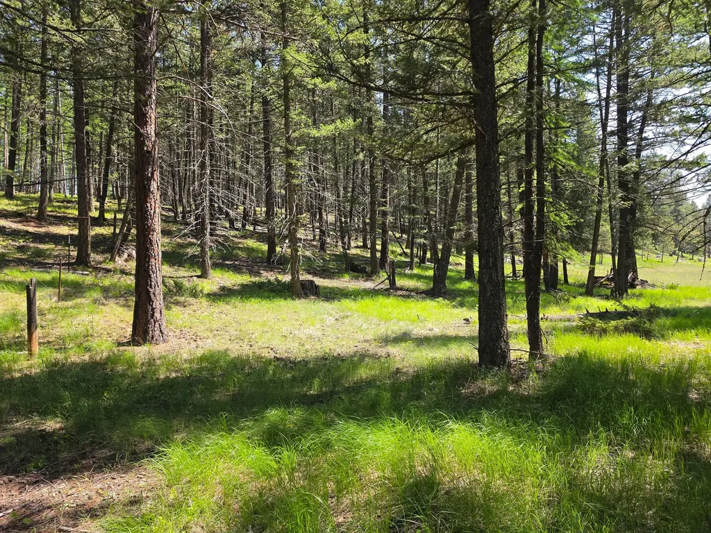568 Bald Rock Road Kalispell MT 59901