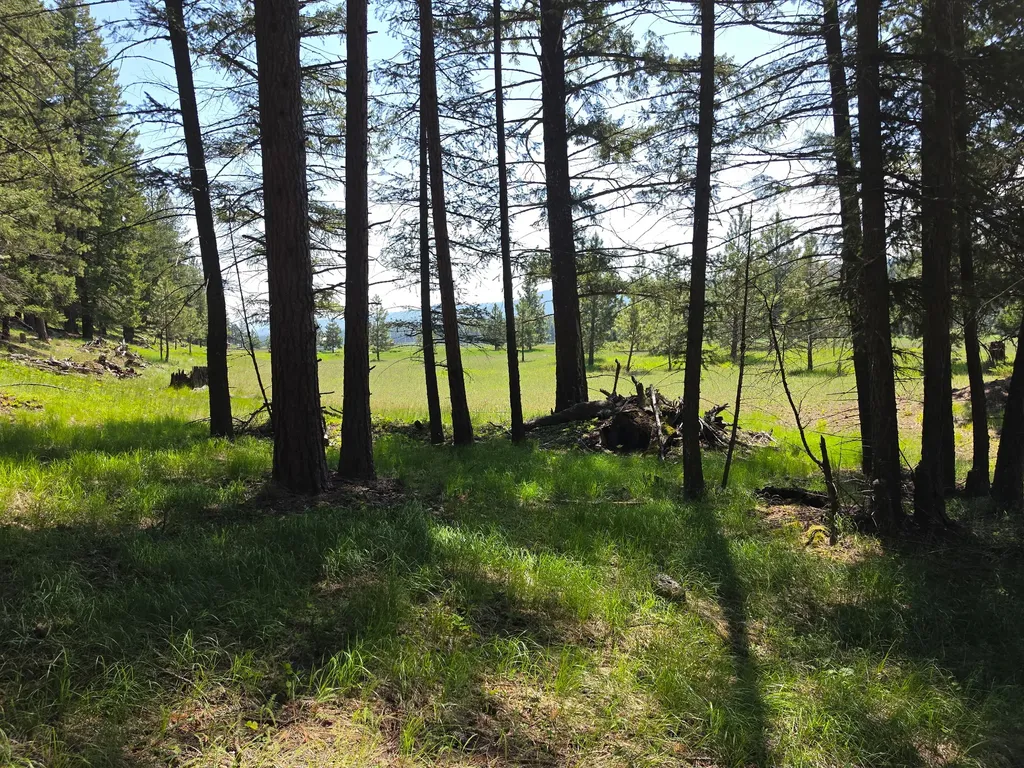 568 Bald Rock Road Kalispell MT 59901