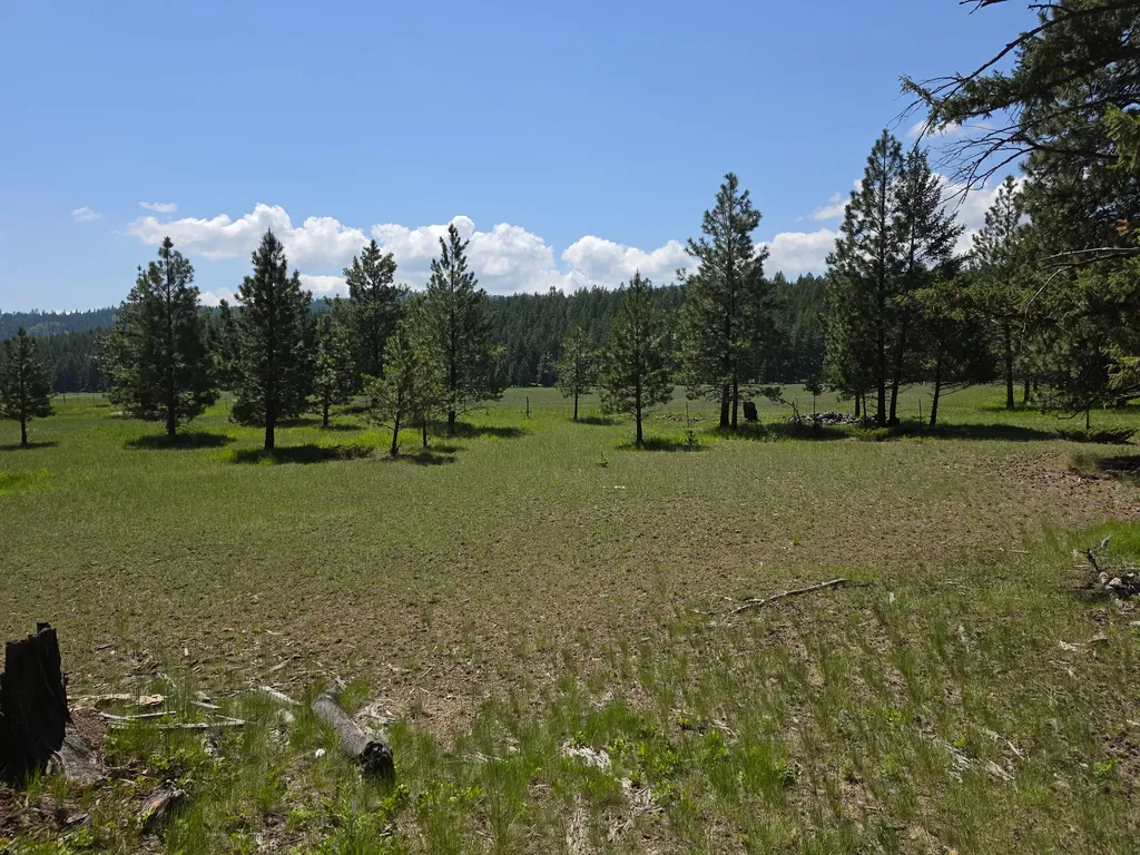 568 Bald Rock Road Kalispell MT 59901
