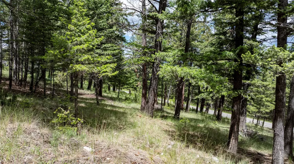 297 S Hills Road Clancy MT 59634