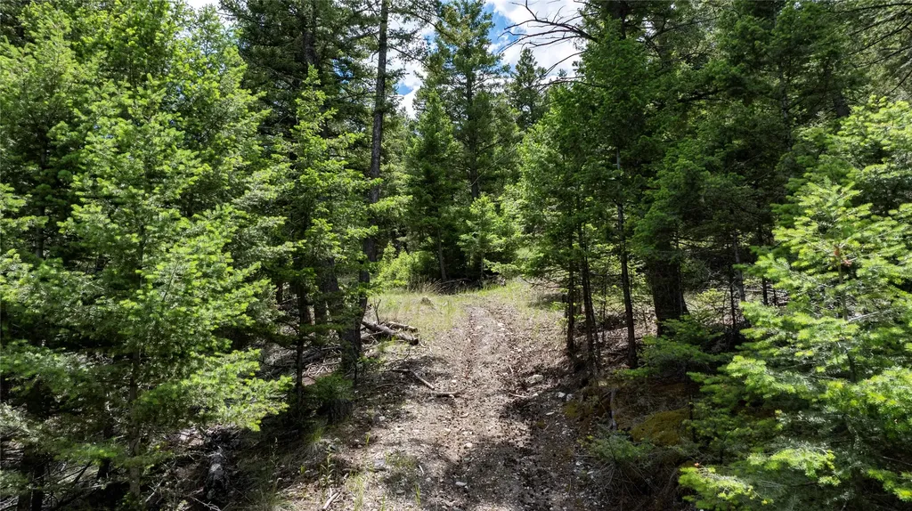 297 S Hills Road Clancy MT 59634