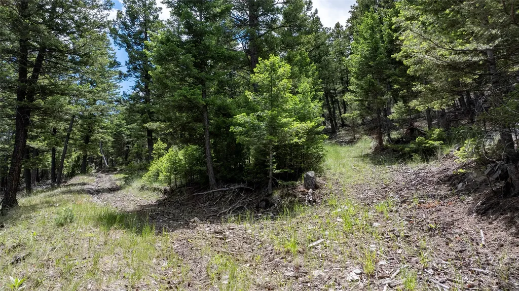 297 S Hills Road Clancy MT 59634