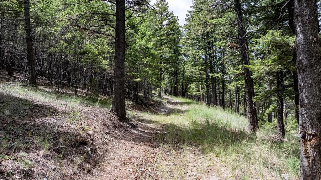 297 S Hills Road Clancy MT 59634