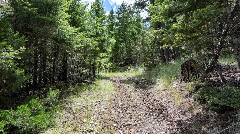 297 S Hills Road Clancy MT 59634