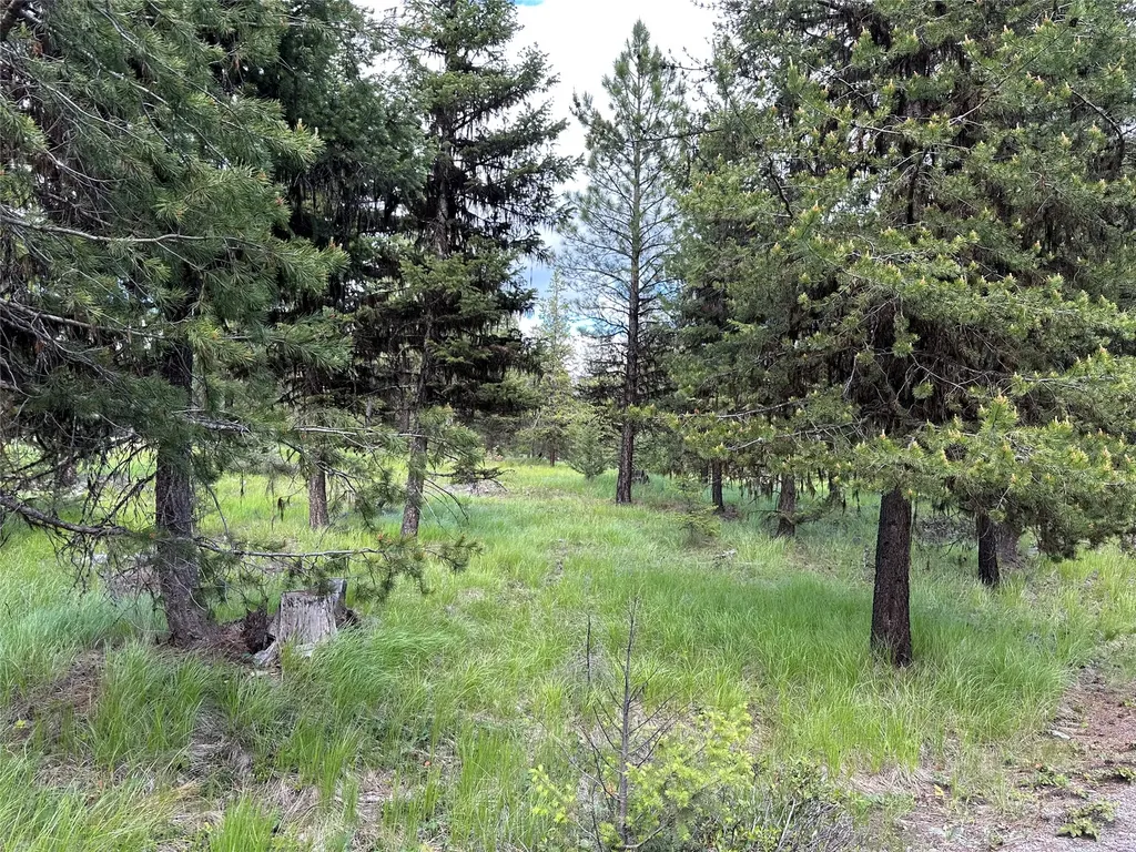 Nhn Lot 41 Loon Connector Road Libby MT 59923