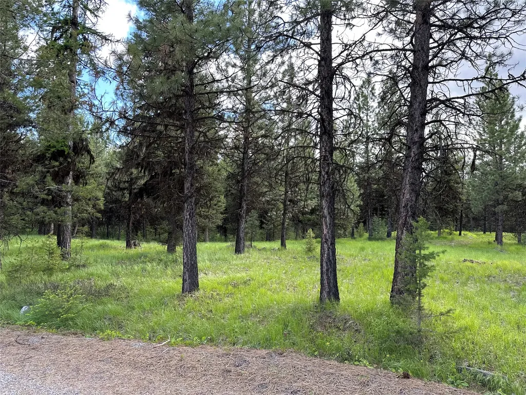 Nhn Lot 41 Loon Connector Road Libby MT 59923