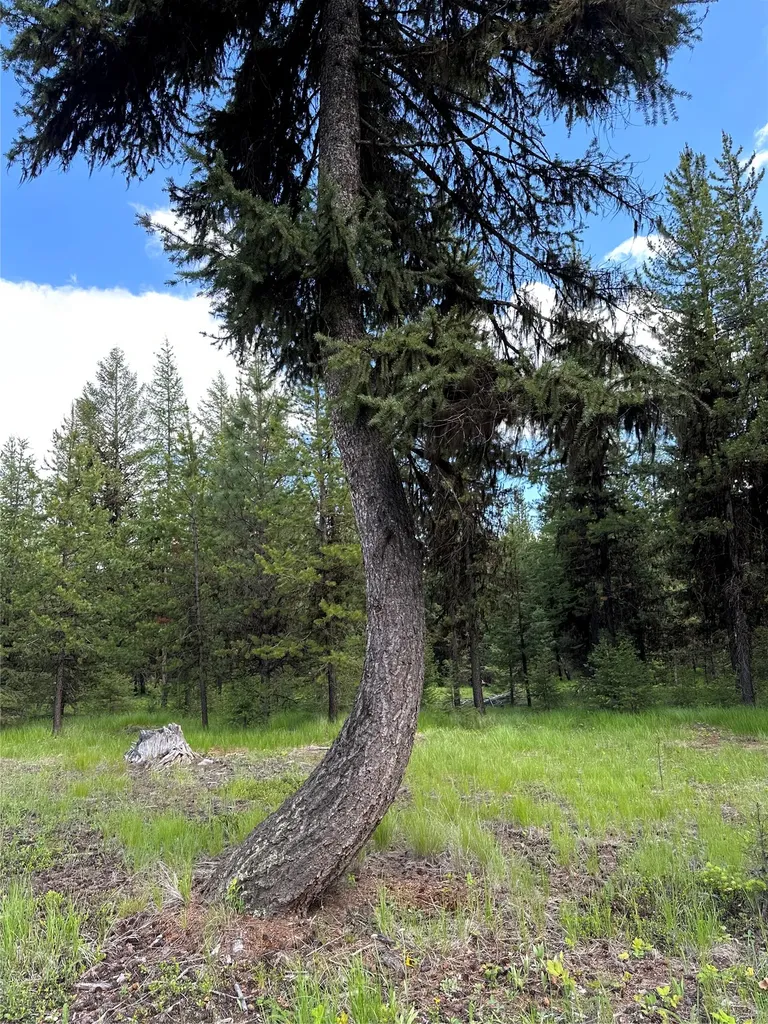 Nhn Lot 41 Loon Connector Road Libby MT 59923