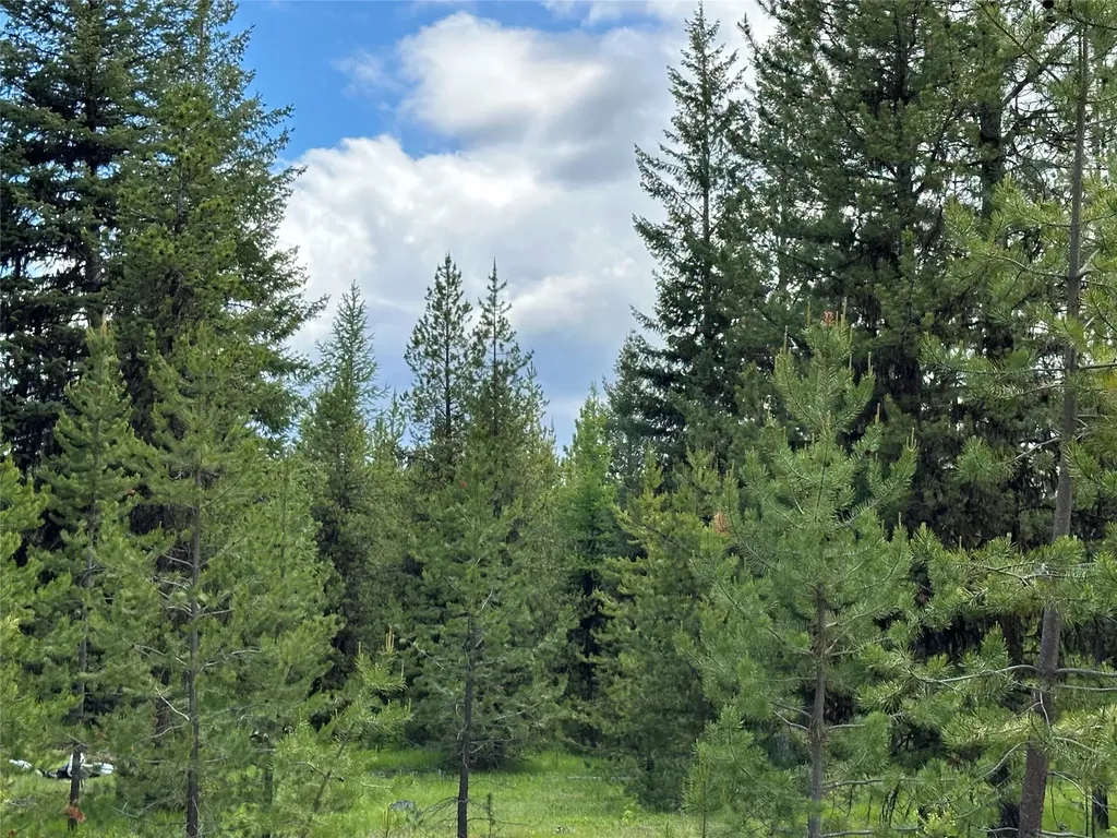 Nhn Lot 41 Loon Connector Road Libby MT 59923