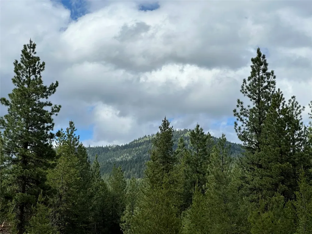 Nhn Lot 41 Loon Connector Road Libby MT 59923