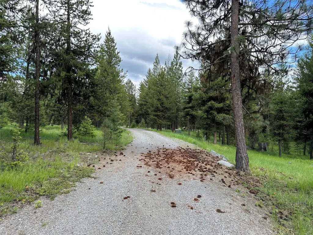 Nhn Lot 41 Loon Connector Road Libby MT 59923