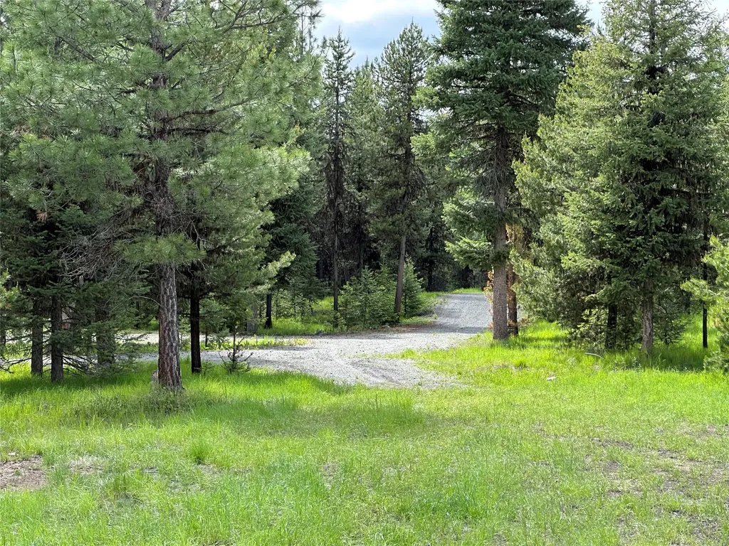 Nhn Lot 41 Loon Connector Road Libby MT 59923