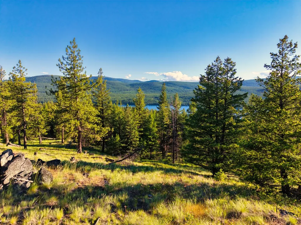 12021 Us Highway 2 W Marion MT 59925