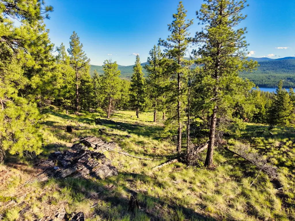 12021 Us Highway 2 W Marion MT 59925