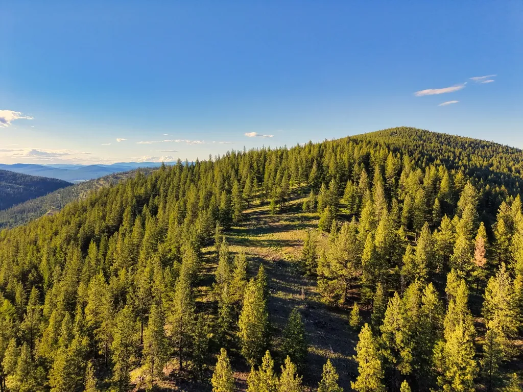 12021 Us Highway 2 W Marion MT 59925