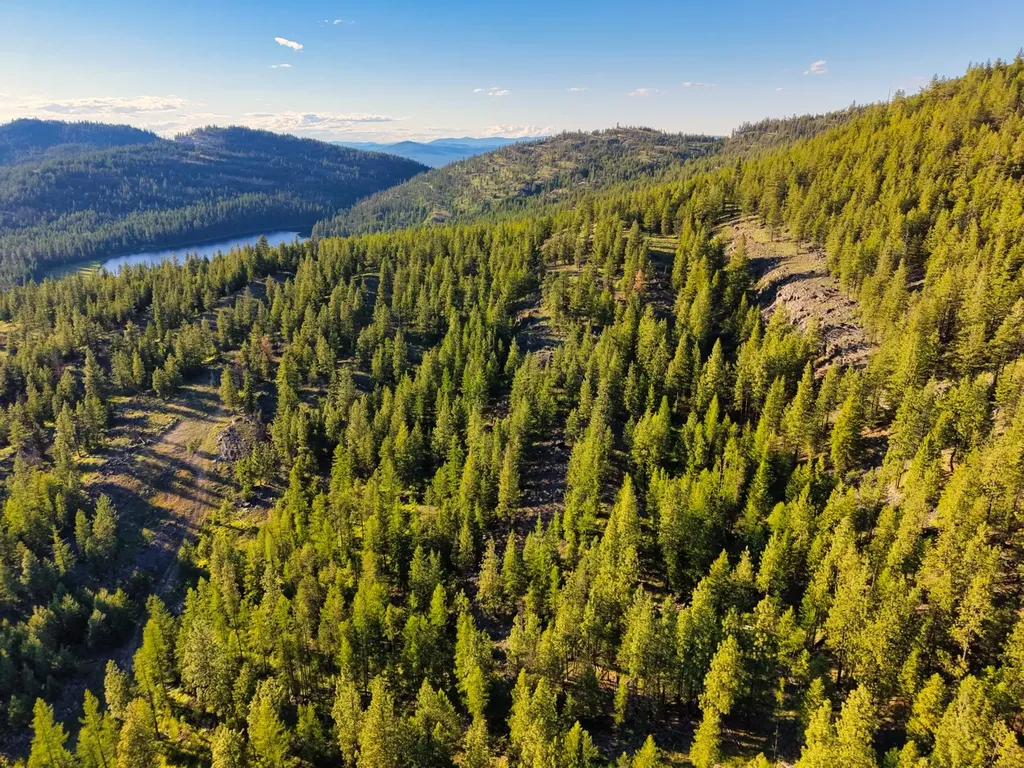 12021 Us Highway 2 W Marion MT 59925