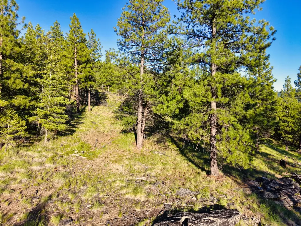 12021 Us Highway 2 W Marion MT 59925